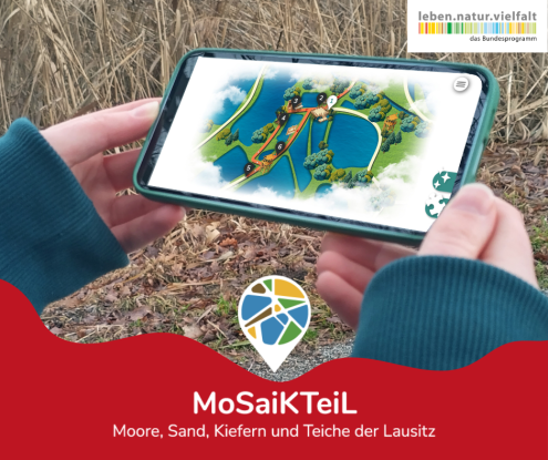 Mosaik-Rallye, MoSaiKTeil
