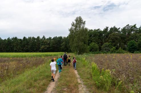 Umweltbildung im Biosphärenreservat Oberlausitzer Heide- und Teichlandschaft, Foto: BRV