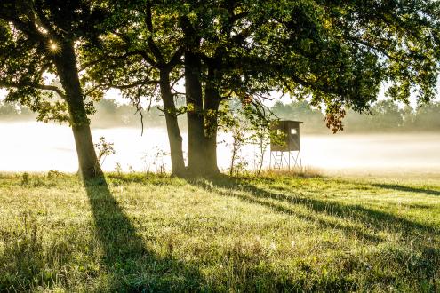 Sonnenaufgangsstimmung (Foto: Sandro Tenne)