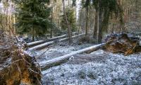 Sturmschäden bei Crosta