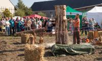 Kettensägenkunst beim Naturmarkt in Wartha (Foto: Ralf M. Schreyer)