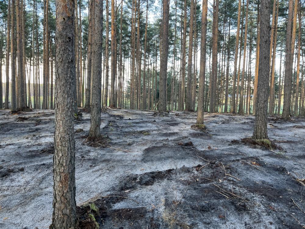 Fläche nach dem Abtragen_Sebastian Buschmann