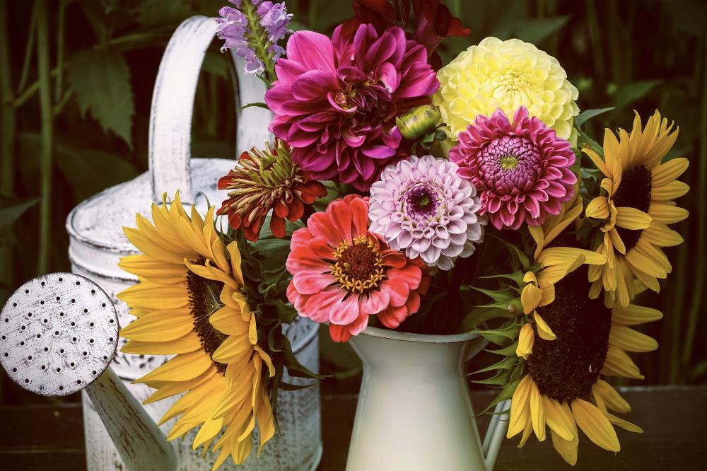 Schnittblumen_Pixabay Schnittblumen_Pixabay